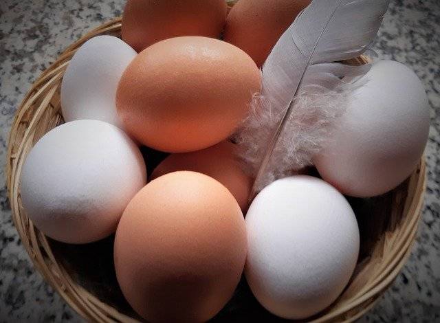 美国鸡蛋价格飙升致民众走私入境 美国鸡蛋价格正在创下纪录